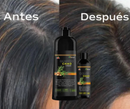 SHAMPOO CHAO CANAS 3 en 1 + TRATAMIENTO + ENVÍO GRATIS