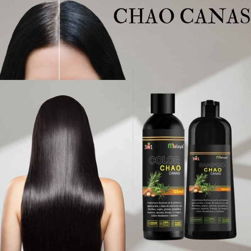 SHAMPOO CHAO CANAS 3 en 1 + TRATAMIENTO + ENVÍO GRATIS